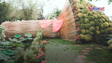 Chiêm ngưỡng bó hoa cúc mâm xôi lớn nhất Việt Nam tại làng hoa trăm tuổi