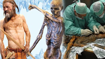 Bí mật không ngờ, hé lộ từ xác ướp 5.000 năm tuổi vùi trên núi cao