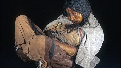 Nghe 