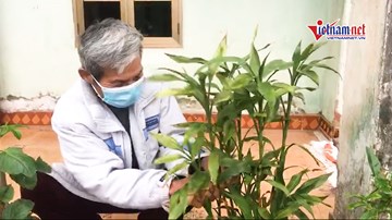 Tết ‘không vợ’ của những người đàn ông một mình trong tâm dịch