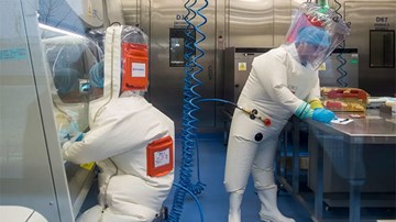 Covid-19: WHO lại có tin mới về virus, biến chủng ở Brazil lây lan 