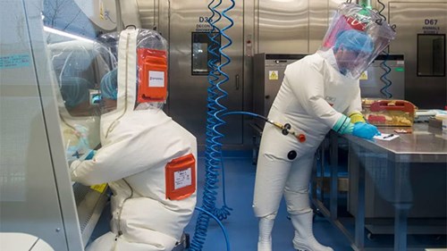 Covid-19: WHO lại có tin mới về virus, biến chủng ở Brazil lây lan 