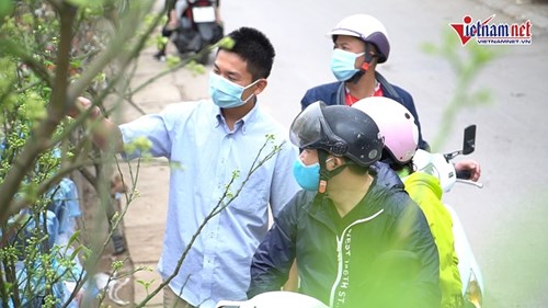 Chưng hoa bưởi cả cây: Thú chơi mới 'ngon, bổ, rẻ' của người Hà thành