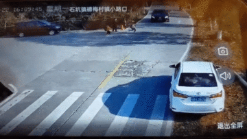 Tài xế ô tô đánh lái xuất thần, cứu mạng bé trai sang đường ẩu