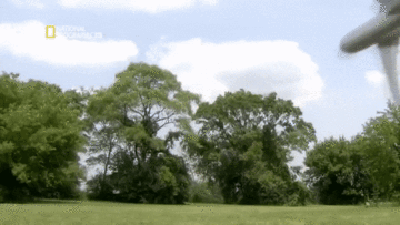 Phút cuối trên chuyến bay mất động cơ, bổ nhào xuống đất