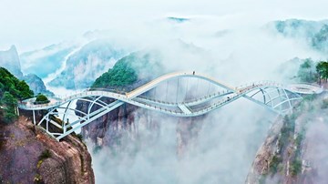 Chiêm ngưỡng cây cầu 