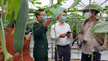 Đưa nông sản lên sàn, thoát cảnh nhếch nhác chờ “giải cứu” ở vỉa hè