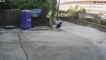 Nữ sinh nhập viện do bị chó tấn công