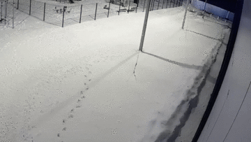 Bé trai 5 tuổi rơi từ tầng 12 xuống đất sống sót kỳ diệu