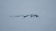 Khoảnh khắc ngoạn mục: 3 tàu ngầm hạt nhân Nga cùng trồi lên băng Bắc cực