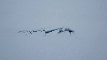 Khoảnh khắc ngoạn mục: 3 tàu ngầm hạt nhân Nga cùng trồi lên băng Bắc cực