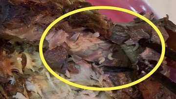 Giòi bò lúc nhúc trong món cá kho của cửa hàng thực phẩm sạch ở Hà Nội