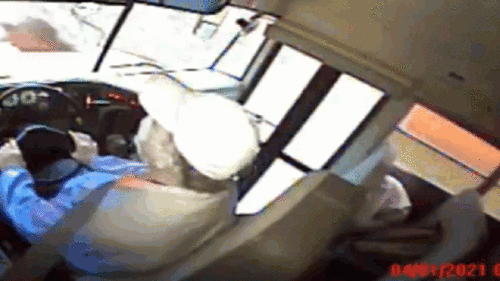 Hươu xuyên thủng kính xe buýt khiến nhiều người hoảng sợ