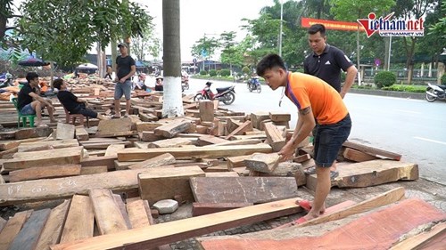 Chợ hàng trăm gian bán gỗ quý theo cân, người mua tấp nập