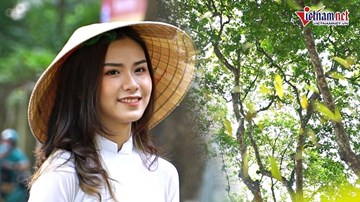 Hà Nội mùa sấu già trút lá, phố 'dệt thảm vàng' níu những nàng thơ