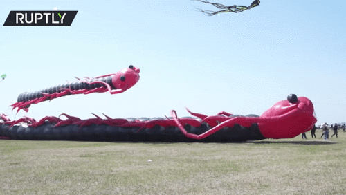 Ngắm những cánh diều kỳ lạ trong lễ hội diều lớn nhất thế giới