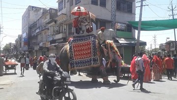 Ấn Độ: Chú rể cưỡi voi đi đón dâu