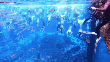 Hơn 100 'nàng tiên cá' cùng biểu diễn dưới nước lập kỷ lục Guinness