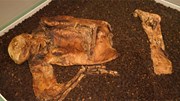 Bí ẩn xác ướp 2.000 tuổi bị cắt làm đôi, biến thành da thuộc ở nước Anh