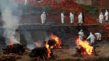 Thế giới 7 ngày: Ấn Độ, ĐNA vật lộn giữa vực thẳm đại dịch