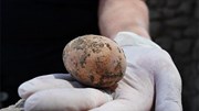 Khai quật quả trứng 1.000 năm tuổi còn gần như nguyên vẹn
