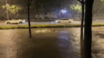 Mưa lớn gây ngập sâu, người đàn ông ‘tranh thủ tập bơi’ giữa đường