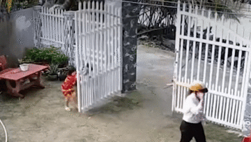 Chiếc cổng sắt bất ngờ đổ sập, đè lên người 2 bé gái khi đang đùa nghịch