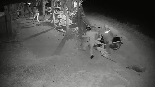 Trộm chó hung hãn chống trả chủ nhà ở Nghệ An
