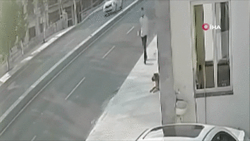 Nhảy xuống lề đường né chó cắn, thanh niên bị xe tải tông