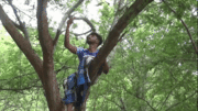 Hơn 40 học sinh mạo hiểm trèo cây cao để 'bắt sóng' học online
