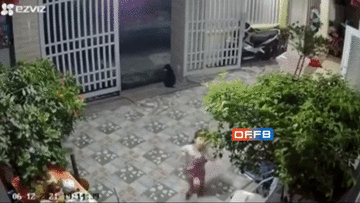 Chậu hoa rơi từ ban công xuống suýt trúng đầu 2 bé gái