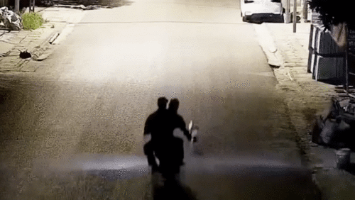 Cẩu tặc bị chú chó khôn ngoan cho 'quay mòng mòng' giữa đường