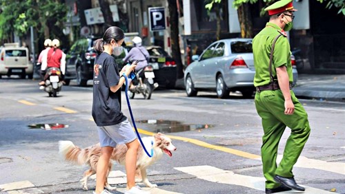 Dắt chó đi dạo vi phạm cách ly xã hội, cô gái Hà Nội bị phạt 2 triệu đồng