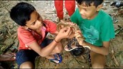 Hai đứa trẻ Ấn Độ dùng tay không giải cứu con rắn bị mắc vào lưỡi câu