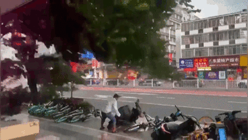 Cây xanh bật gốc đè trúng, người đàn ông may mắn thoát chết