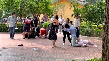 Hai nhóm du khách ẩu đả trong sở thú khiến động vật cũng bắt chước