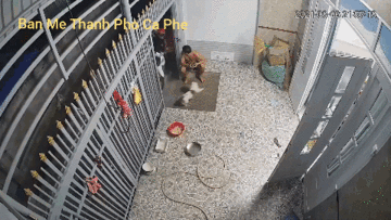 Hai thanh niên lạ lao thẳng xe vào phòng khách khiến chủ nhà ngơ ngác