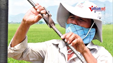 Người đàn ông một mình ‘cứu khát’ 240 ha lúa của làng bị phong tỏa