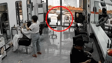 Bắn hạ lợn rừng hung hãn tấn công tiệm làm tóc khiến 2 người bị thương