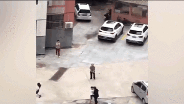 Lợn rừng lao vào khu dân cư, trường học khiến nhiều người bỏ chạy