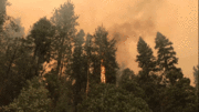 Cận cảnh ngọn lửa tàn khốc thiêu rụi hàng trăm km2 rừng ở Califonia