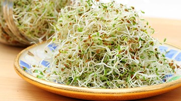 Ăn sống các loại rau mầm ảnh hướng tới sức khoẻ như thế nào?
