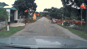 Khoảnh khắc tài xế hú hồn vì em bé bất ngờ chạy ngang đường
