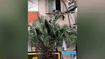 Lính cứu hỏa, người dân hợp sức cứu bé 2 tuổi lơ lửng ngoài ‘chuồng cọp’