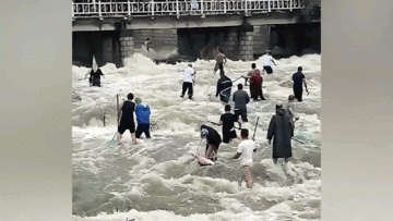 Hàng trăm người dân lao xuống sông chờ hồ xả lũ để bắt cá khổng lồ