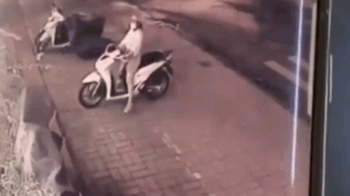 Trộm dùng chân bẻ khóa xe SH siêu nhanh