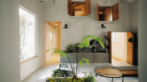 Cải tạo nhà nhỏ xập xệ ở phố cổ thành không gian hiện đại rộng thênh thang