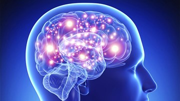 Con người sẽ ra sao nếu não bộ dừng hoạt động chỉ trong 5 giây?