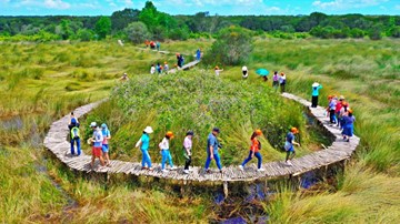 Trải nghiệm không thể bỏ lỡ ở 'Cánh đồng bất tận' Long An