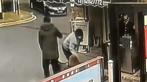 Camera hé lộ sự thật nam thanh niên đòi tiền bồi thường vì bị chó cắn